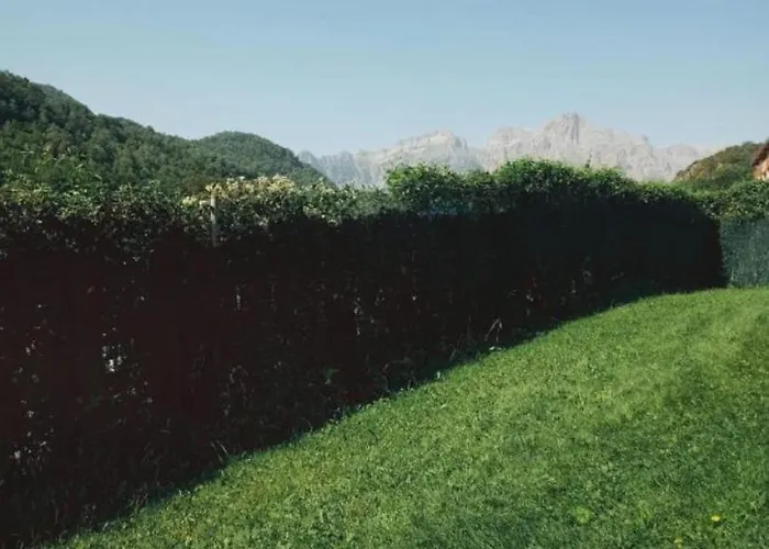 Lägenhet Casa Orval